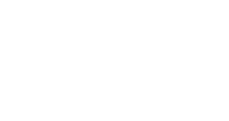 EV S.r.l.