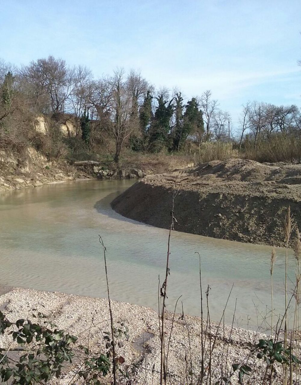 Pulizia alveo, argini e vegetazione — foto 3